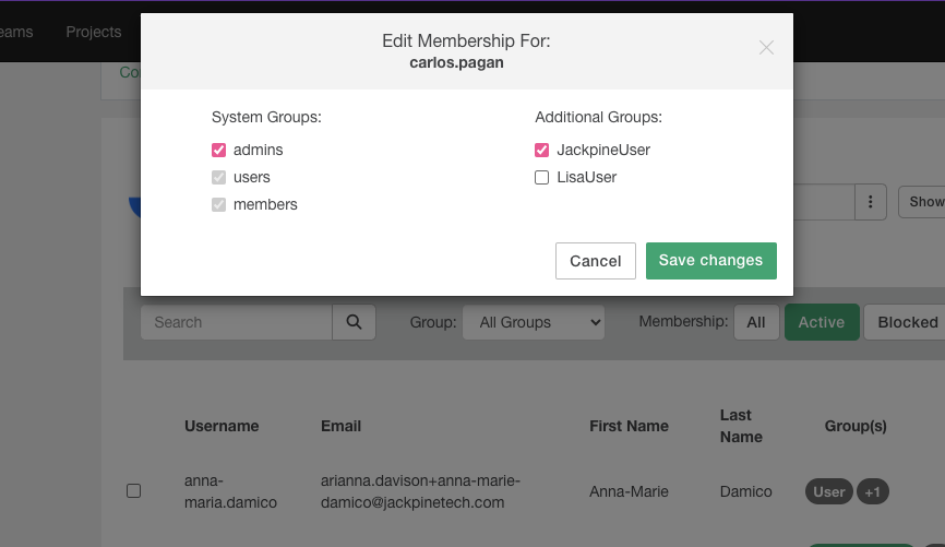Several checkboxes, some of which are selected, in the context of editing a single user’s team service groups.